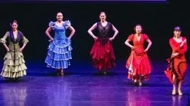 Flamenco Intermediate - Casual Class